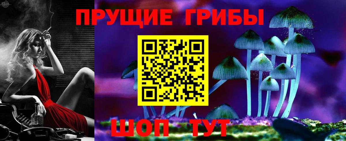 Галлюциногенные грибы Psilocybine cubensis Красноуфимск